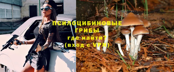 метадон Беломорск