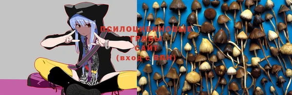 каннабис Белокуриха