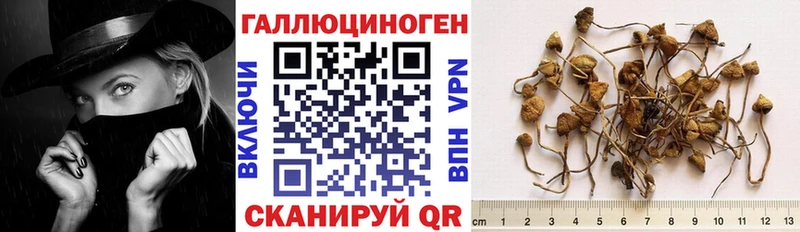 blacksprut как войти  Большой Камень  Галлюциногенные грибы прущие грибы  как найти закладки 