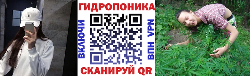 Канабис OG Kush  дарнет шоп  Большой Камень 